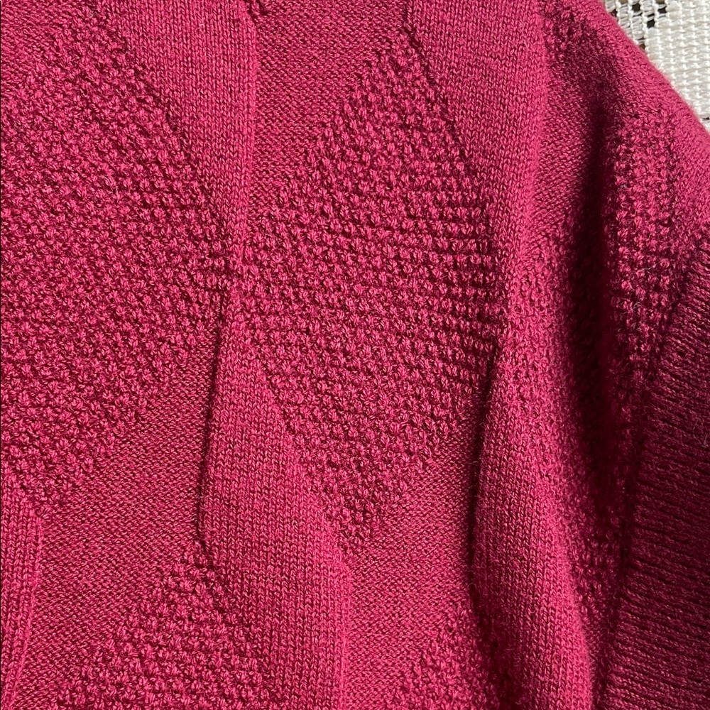 Saddlebred Men's V-Neck Sweater in Cranberry NWT - Picture 3 of 7